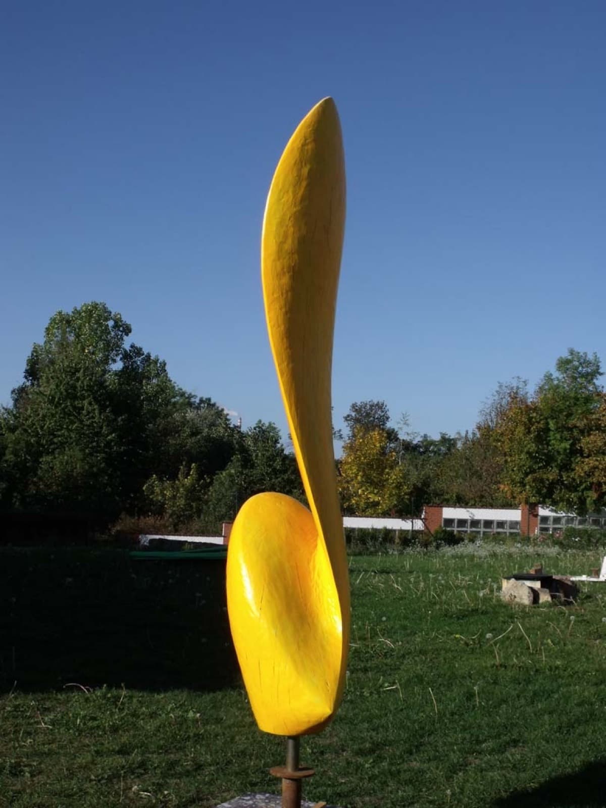 Clavicula, Milan Kuzica