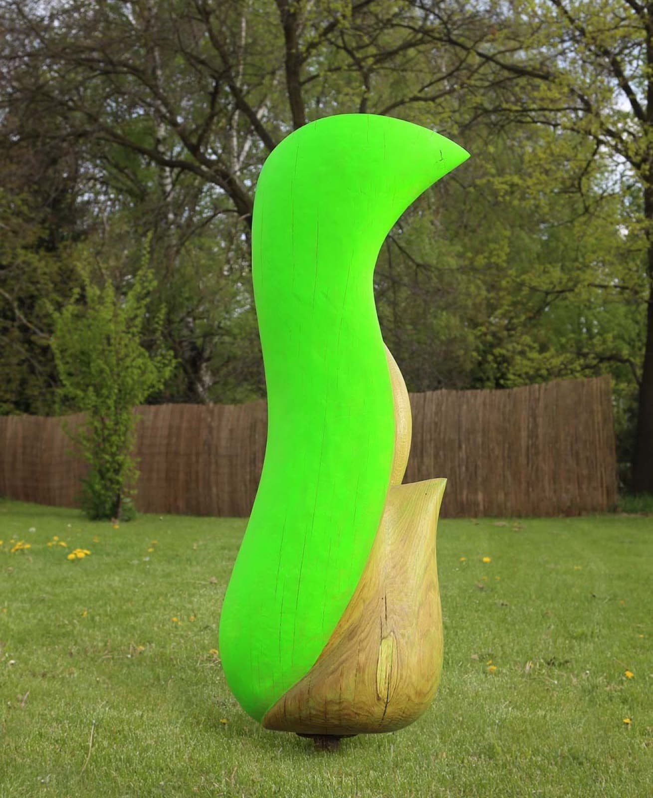 Clavicula II., Milan Kuzica