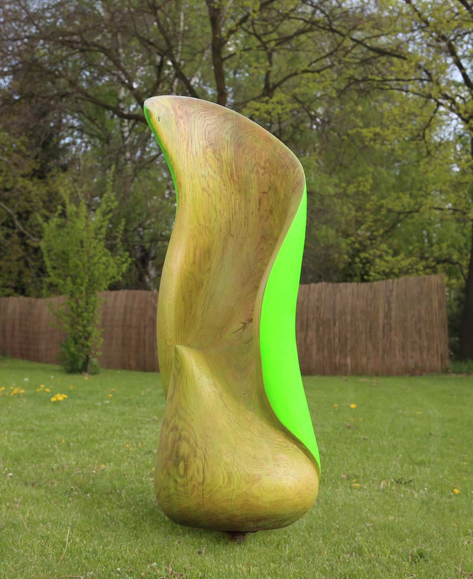 Clavicula II., Milan Kuzica