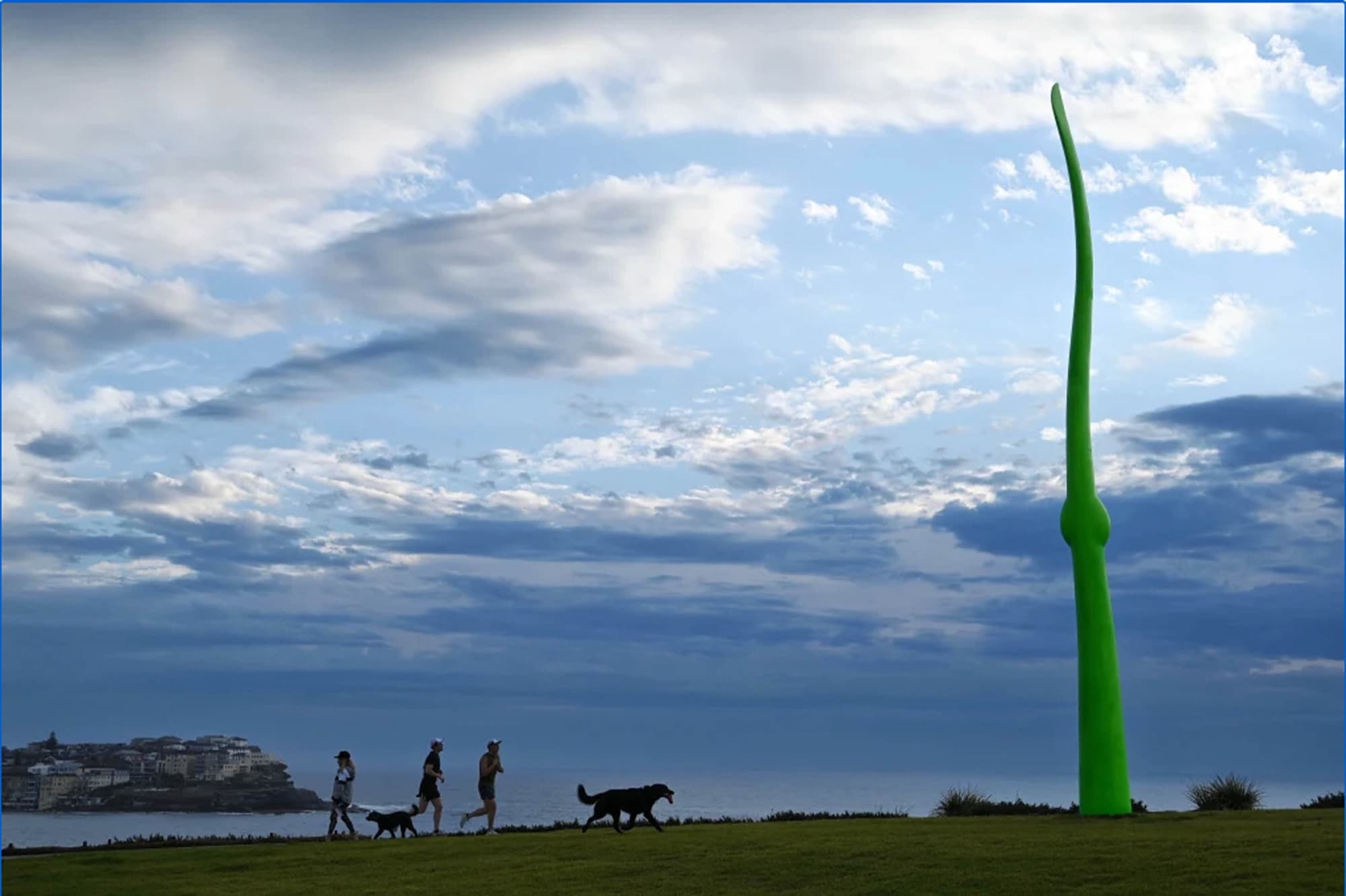 Green Life, tall green stem on the coastal cliff under a wide cloudy sky, people walking a dog (photo: Nick Moir)