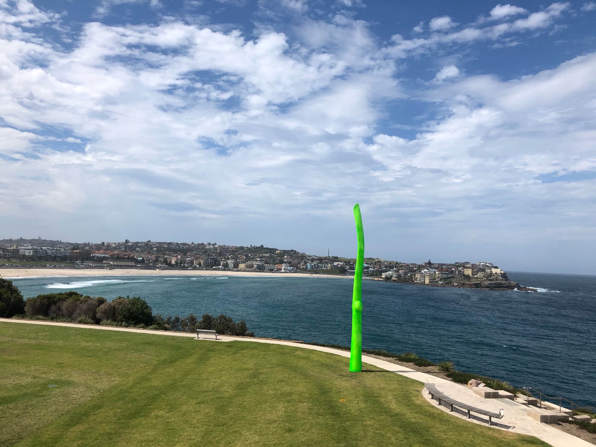 Green Life on the coastal headland above Bondi beach