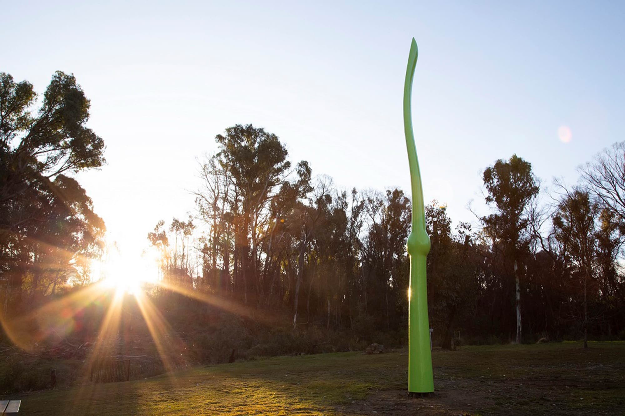 Green Life at the Snowy Valleys Sculpture Trail, Batlow, at sunset (photo: John Riddell)
