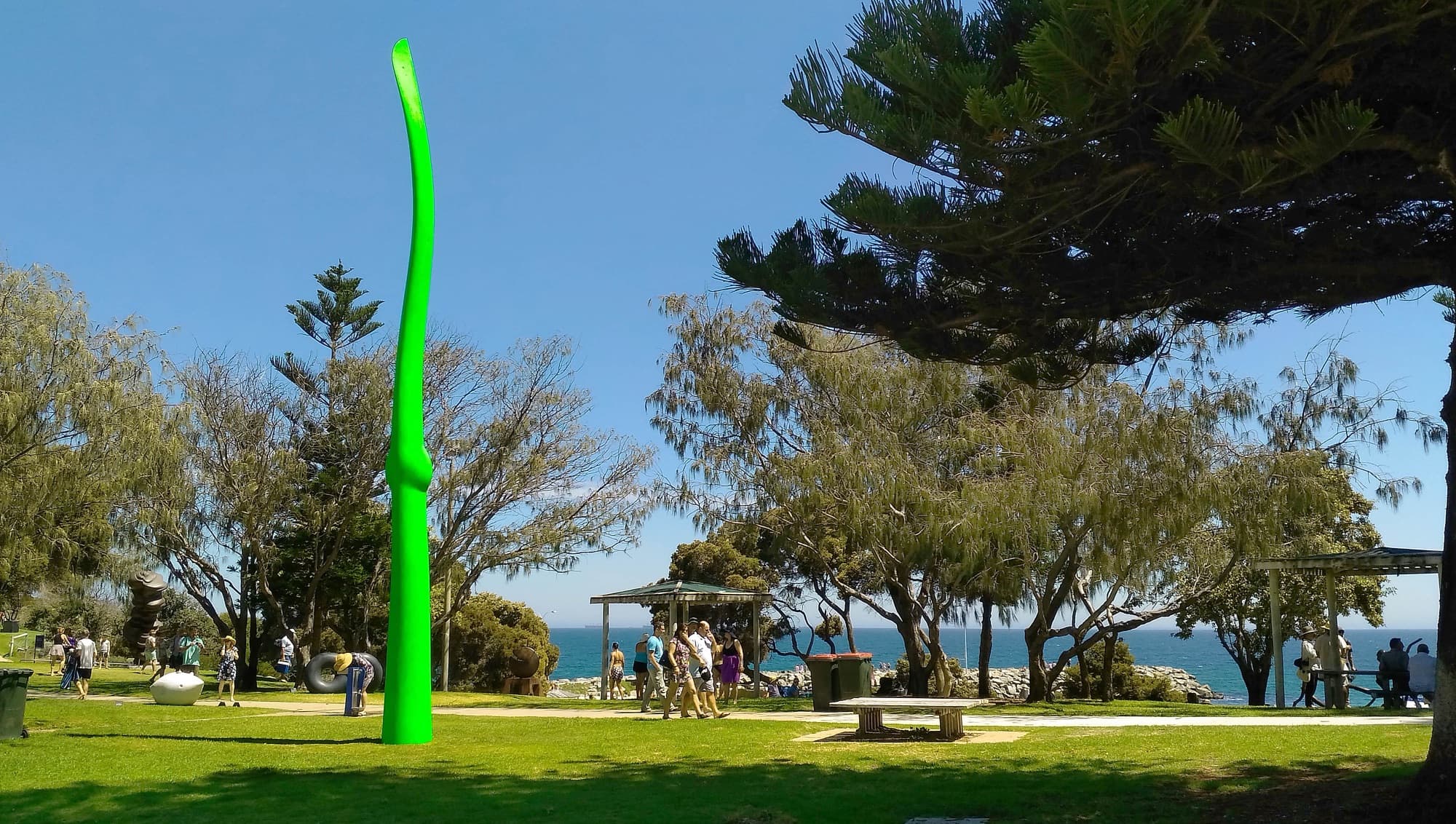 Green Life in a seaside park among pines and visitors