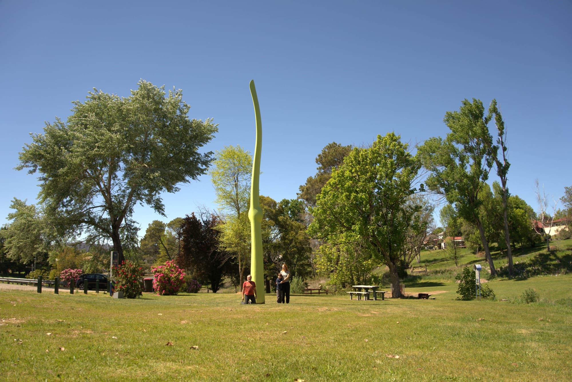 Green Life in a park landscape with trees, Batlow
