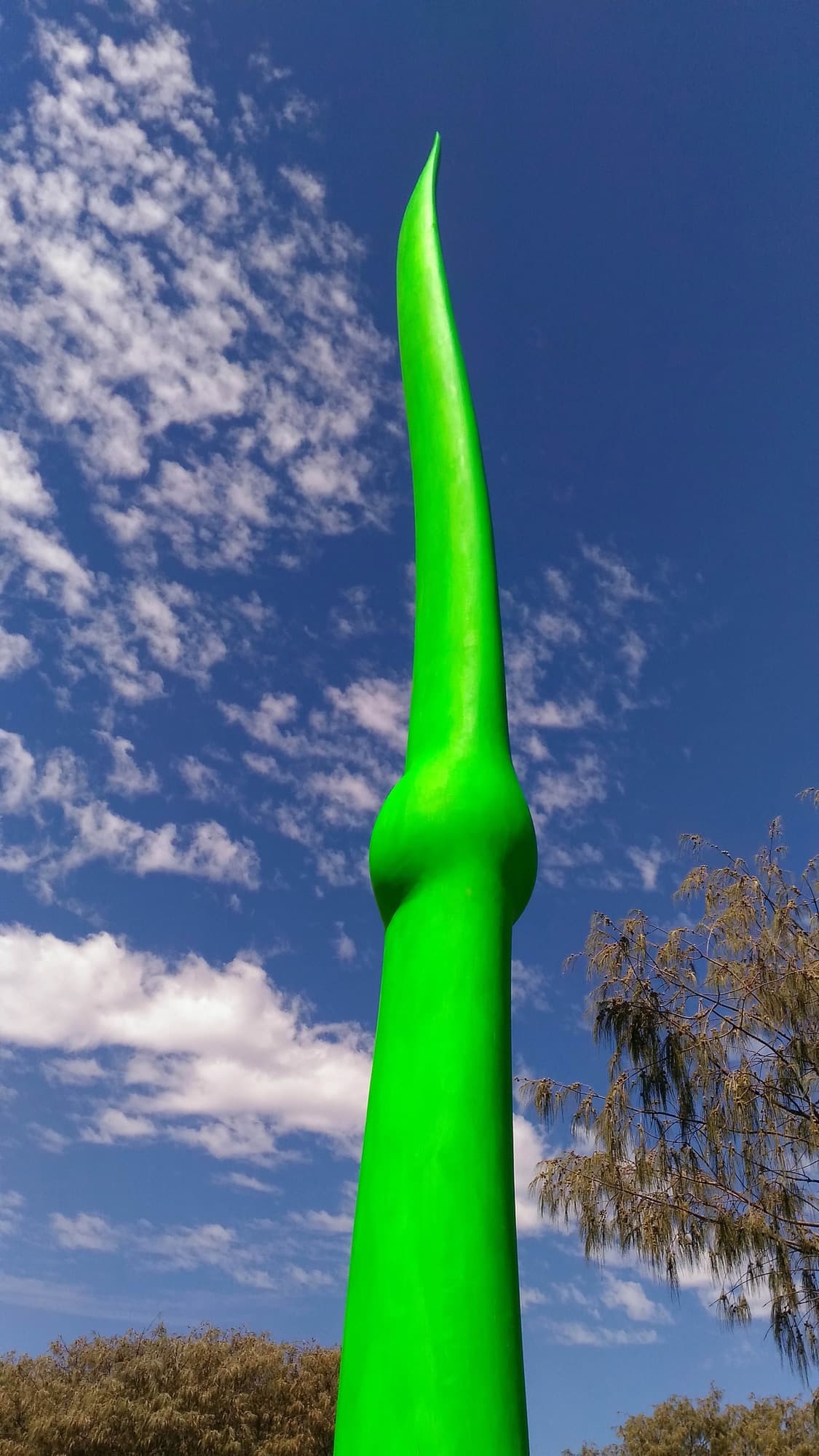 Green Life, detail of the stem against blue sky and clouds