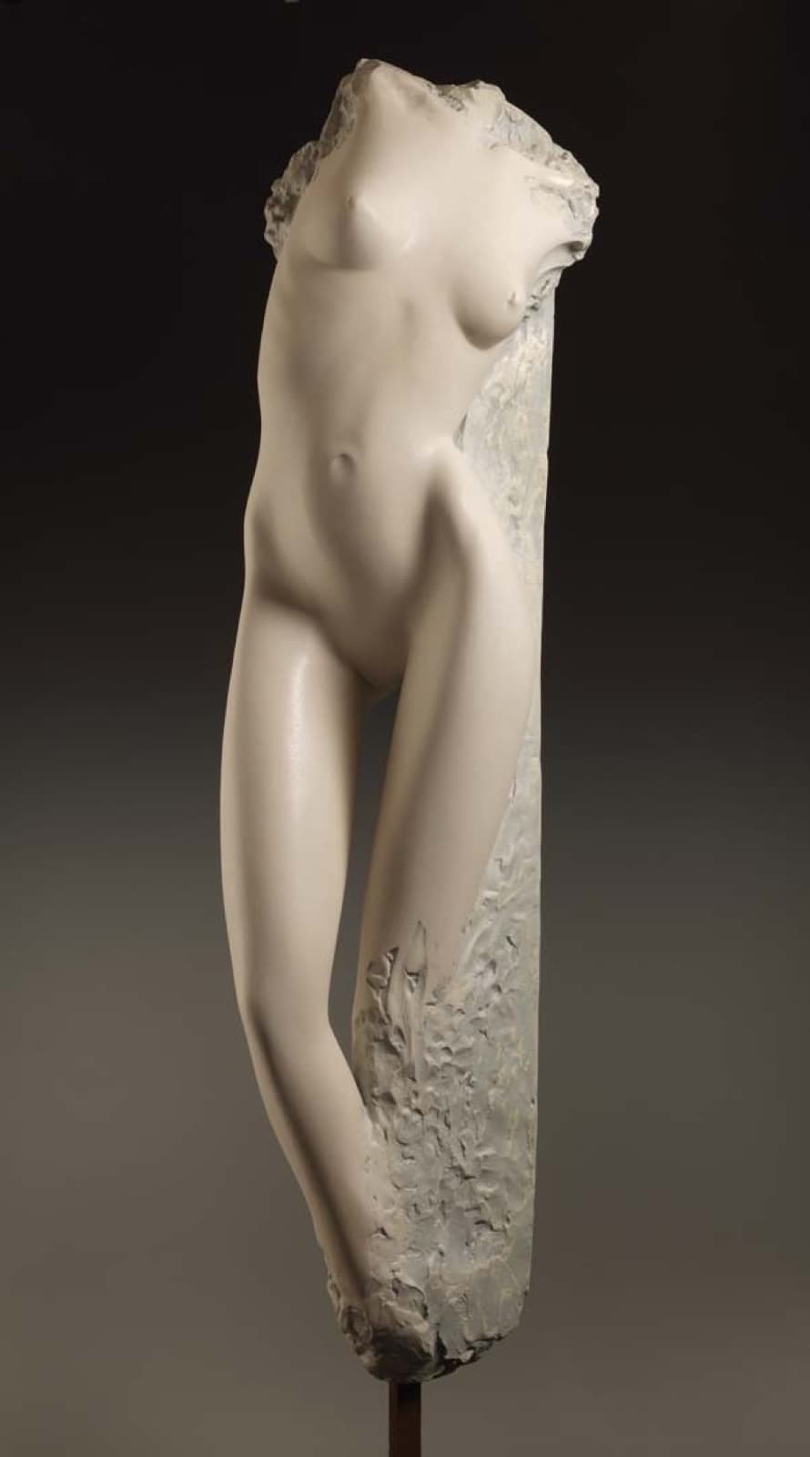 Keltka, Milan Kuzica