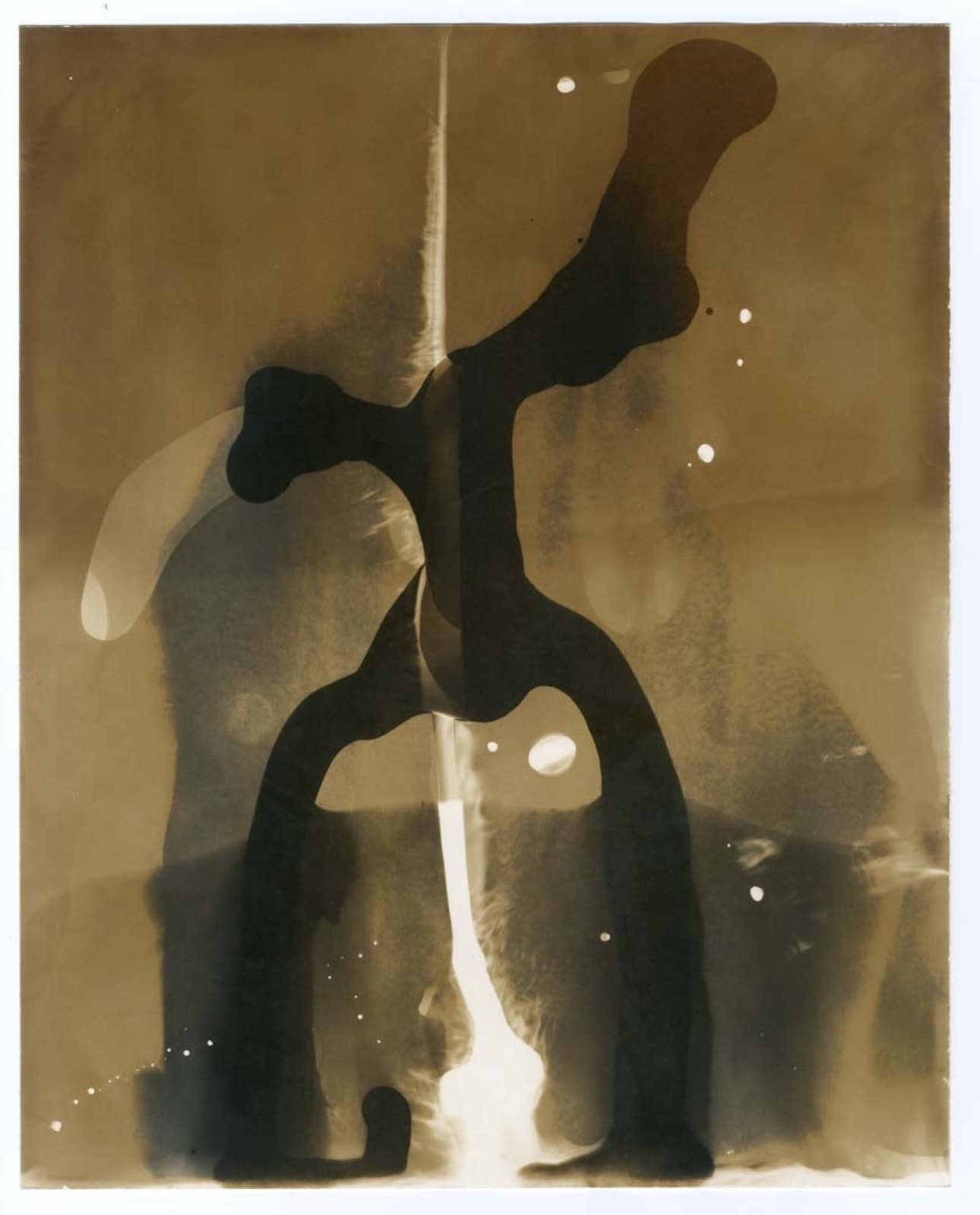 Principium XVI., Milan Kuzica