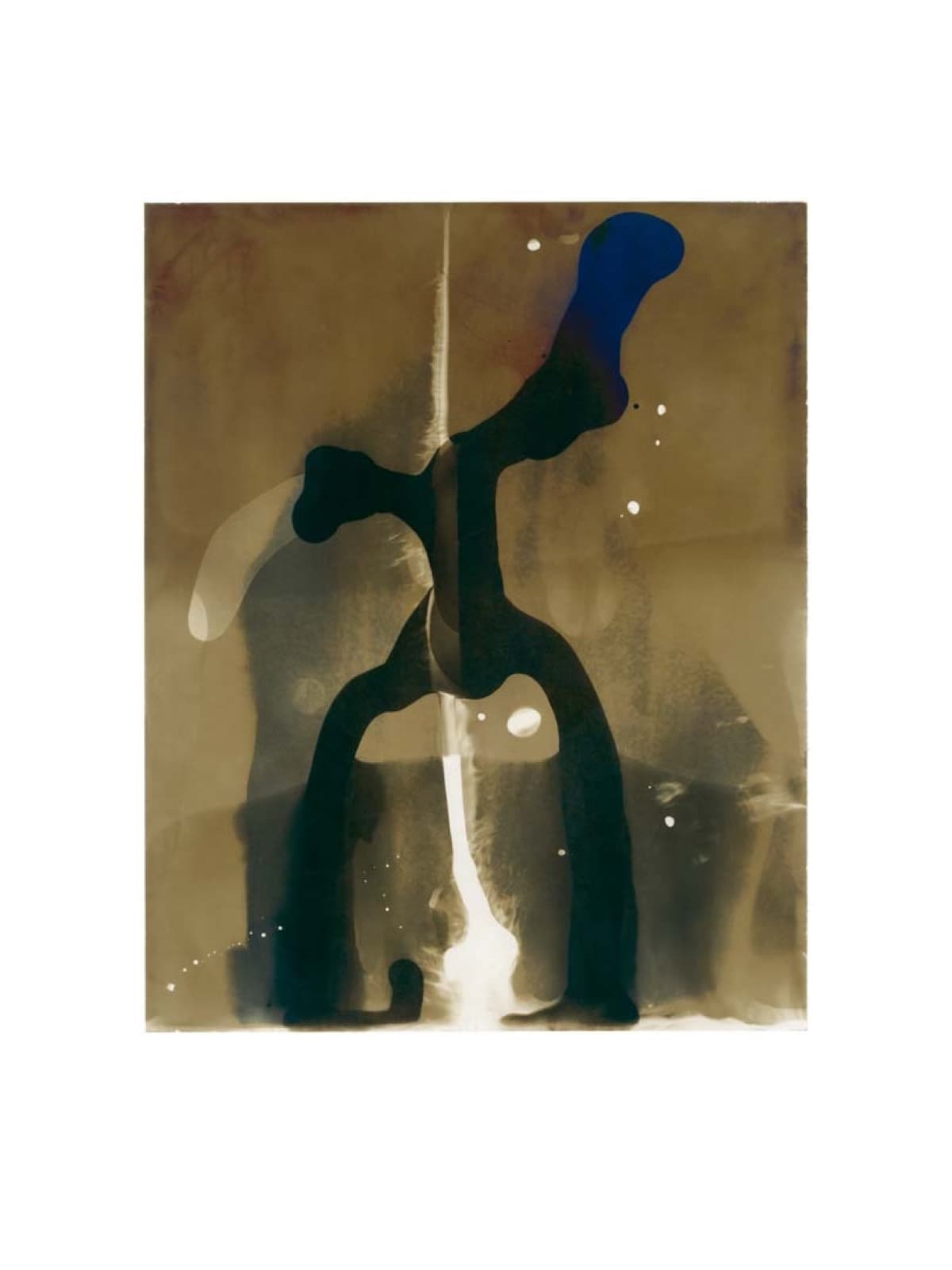 Principium XVI. 1, Milan Kuzica