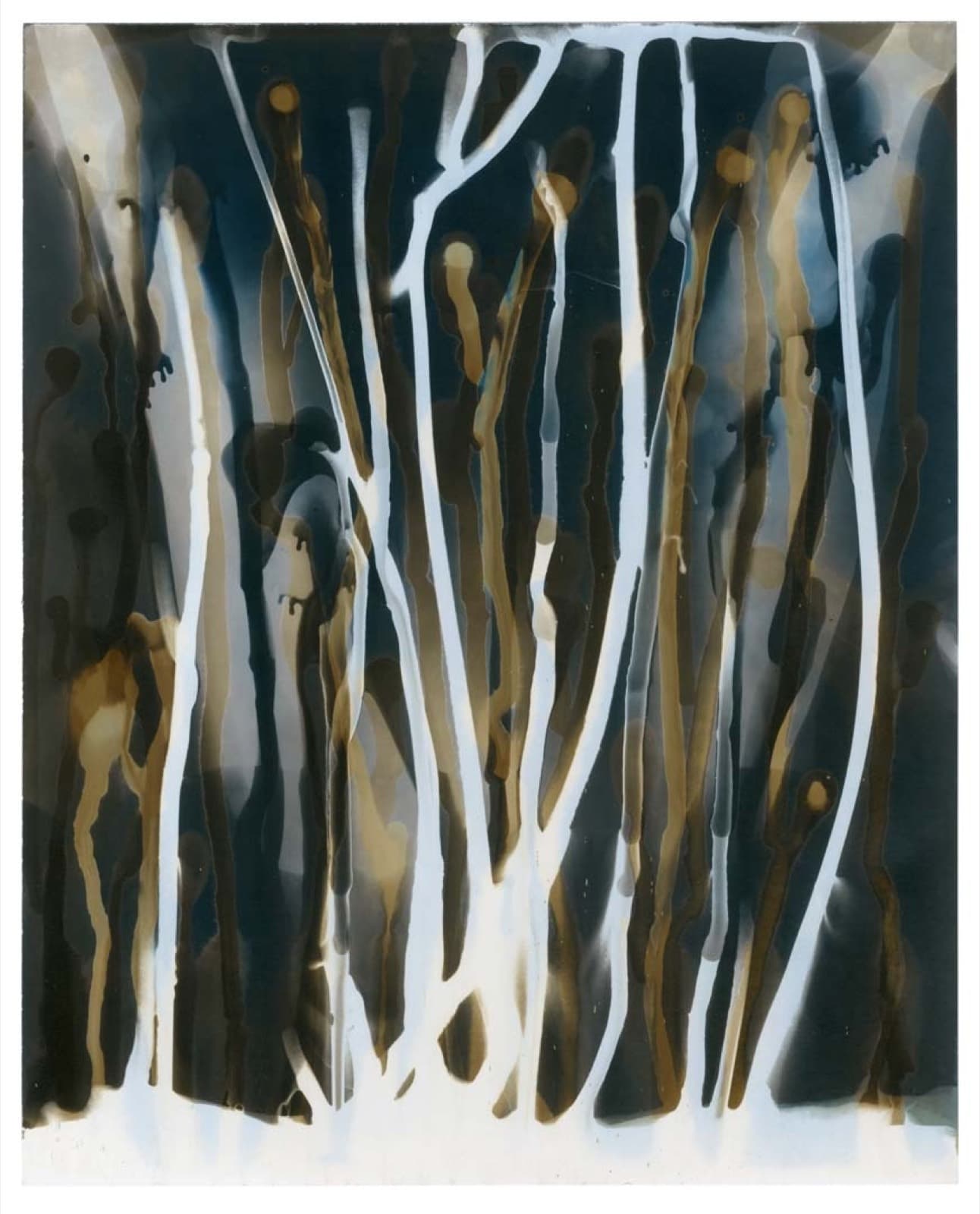 Principium XVII., Milan Kuzica
