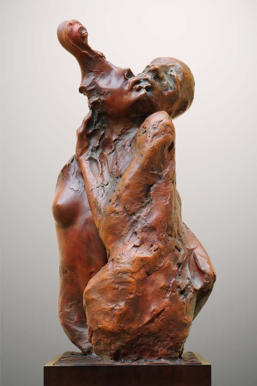 Rezonance, Milan Kuzica