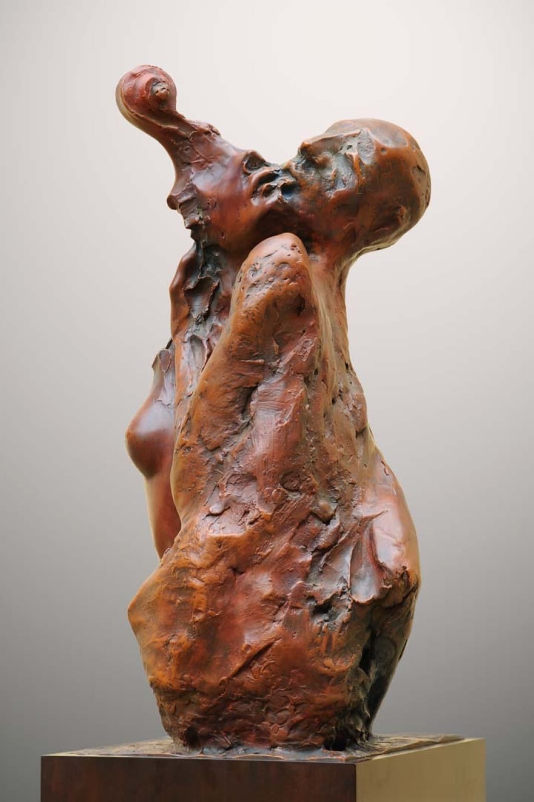 Rezonance, Milan Kuzica