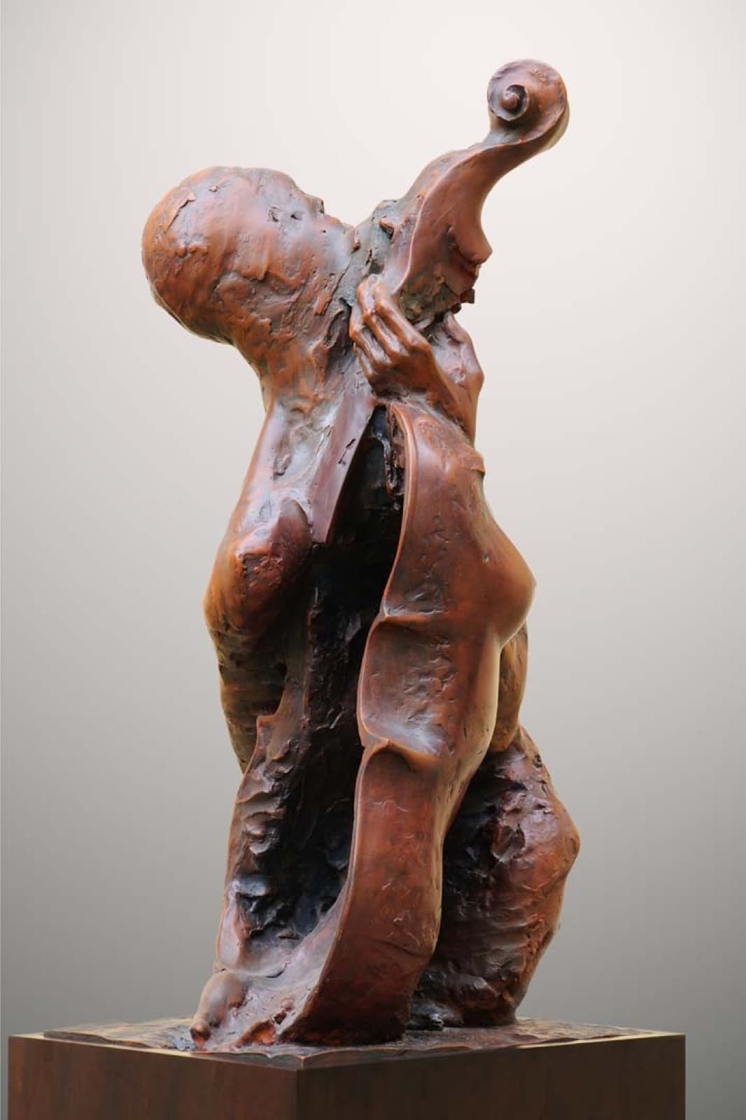 Rezonance, Milan Kuzica