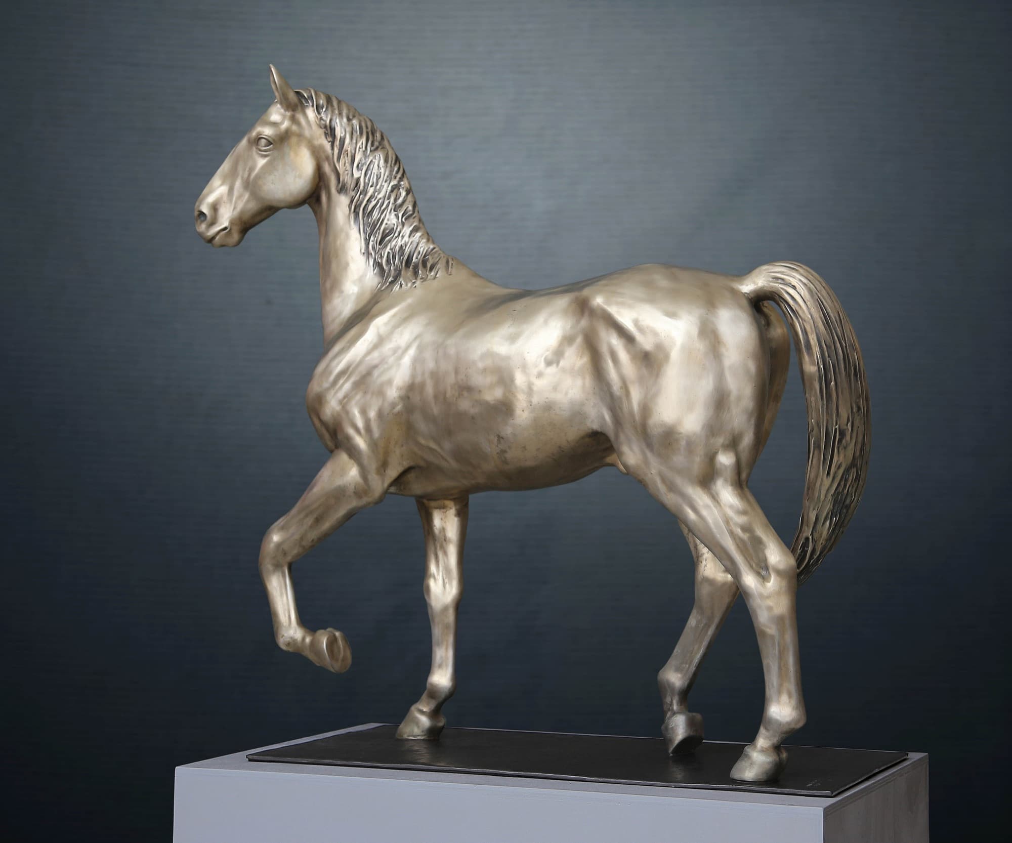 White Horse, side view with raised foreleg
