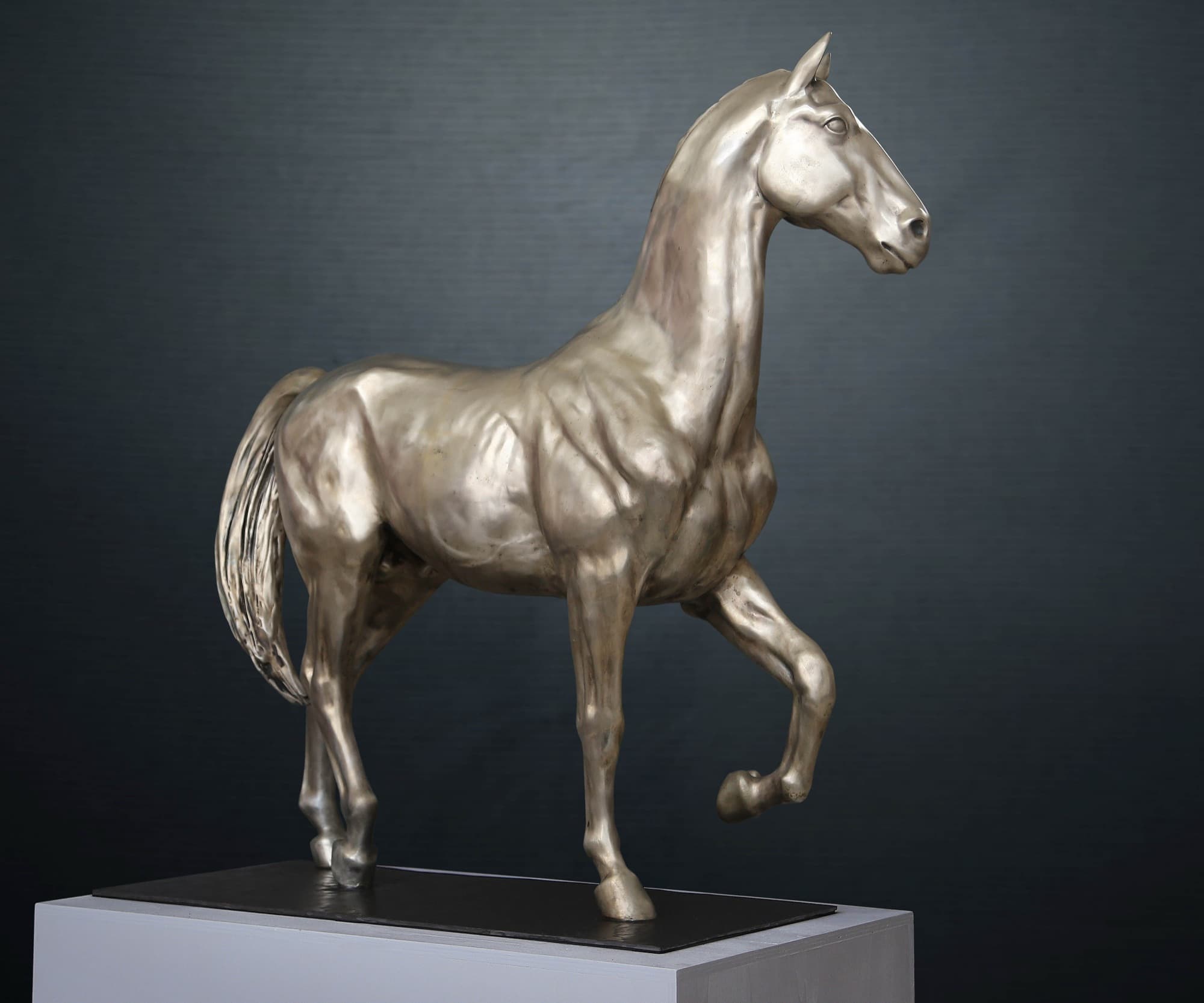 White Horse, three-quarter view of the head and neck
