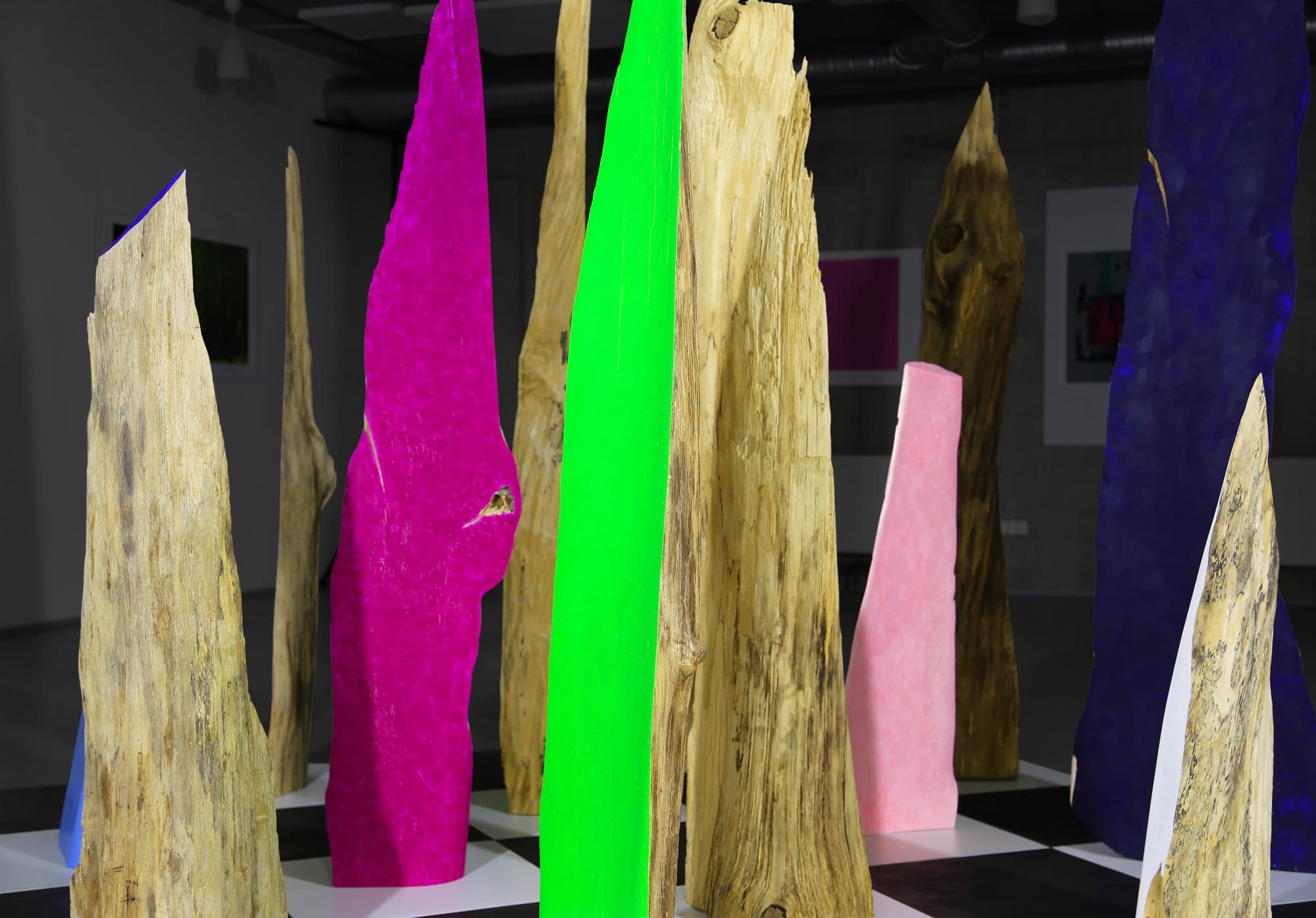 12, closer view of magenta, green and natural wood forms