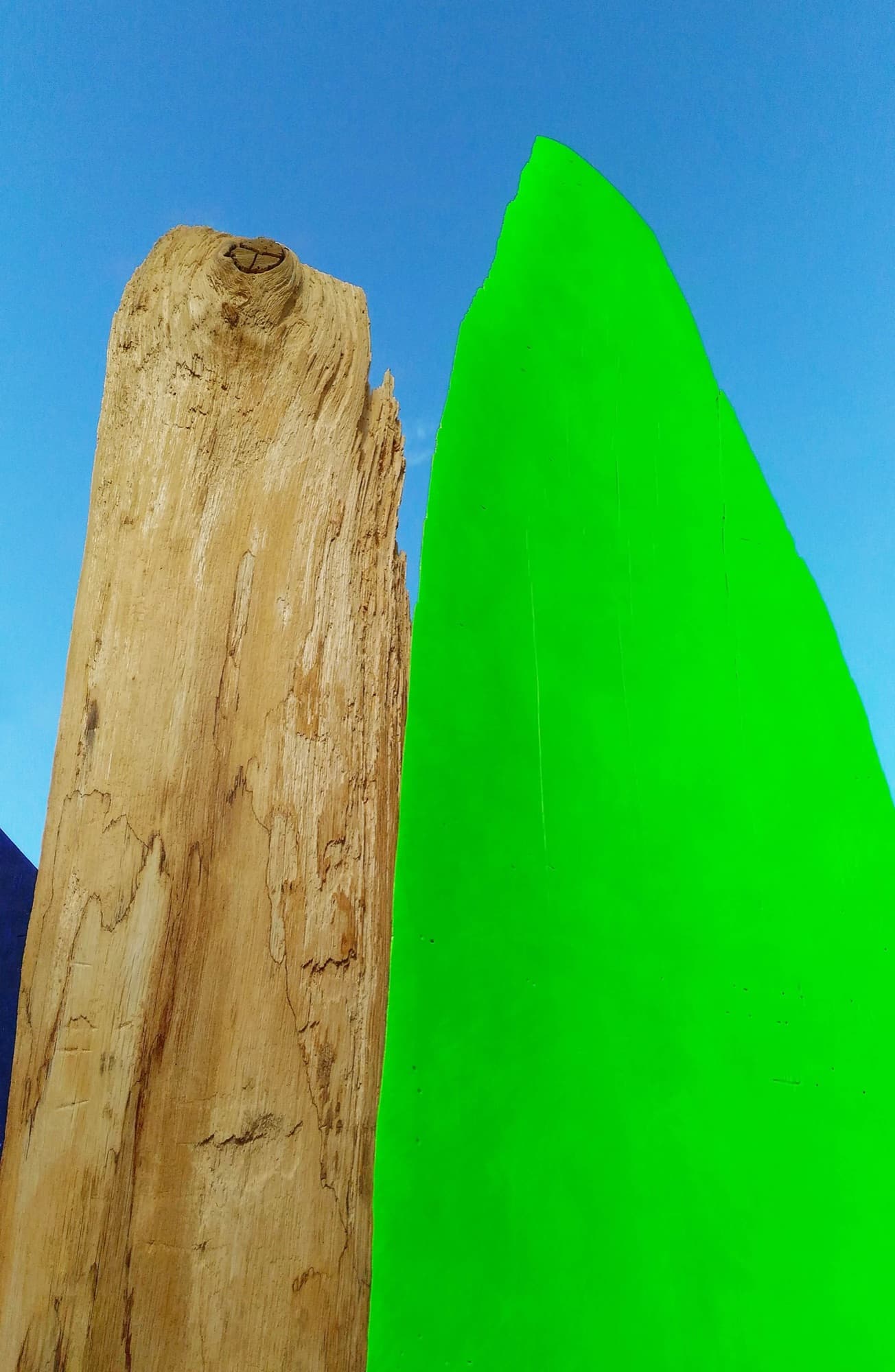 12, natural wood and bright green form against a blue sky
