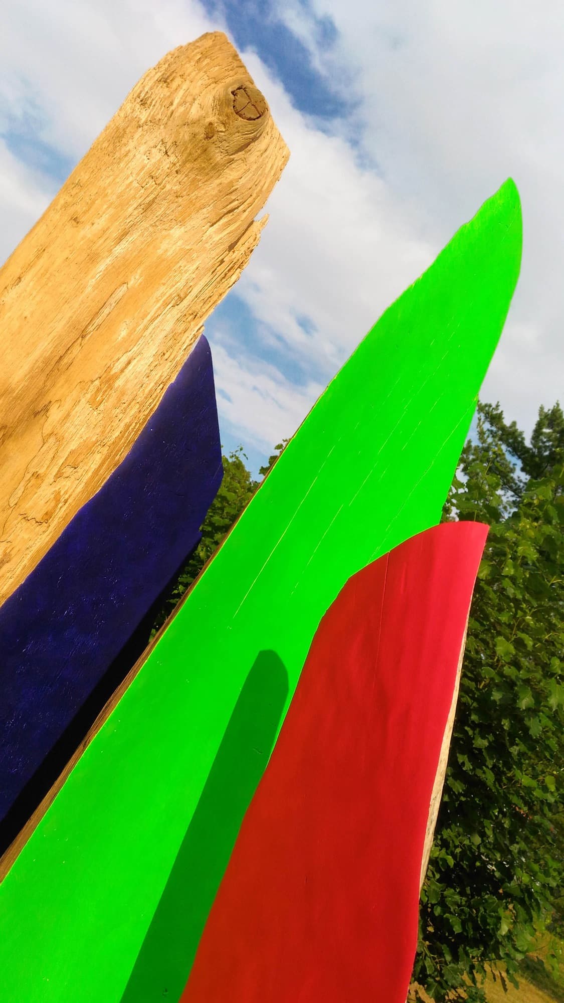 12, green, red and dark blue forms seen from below
